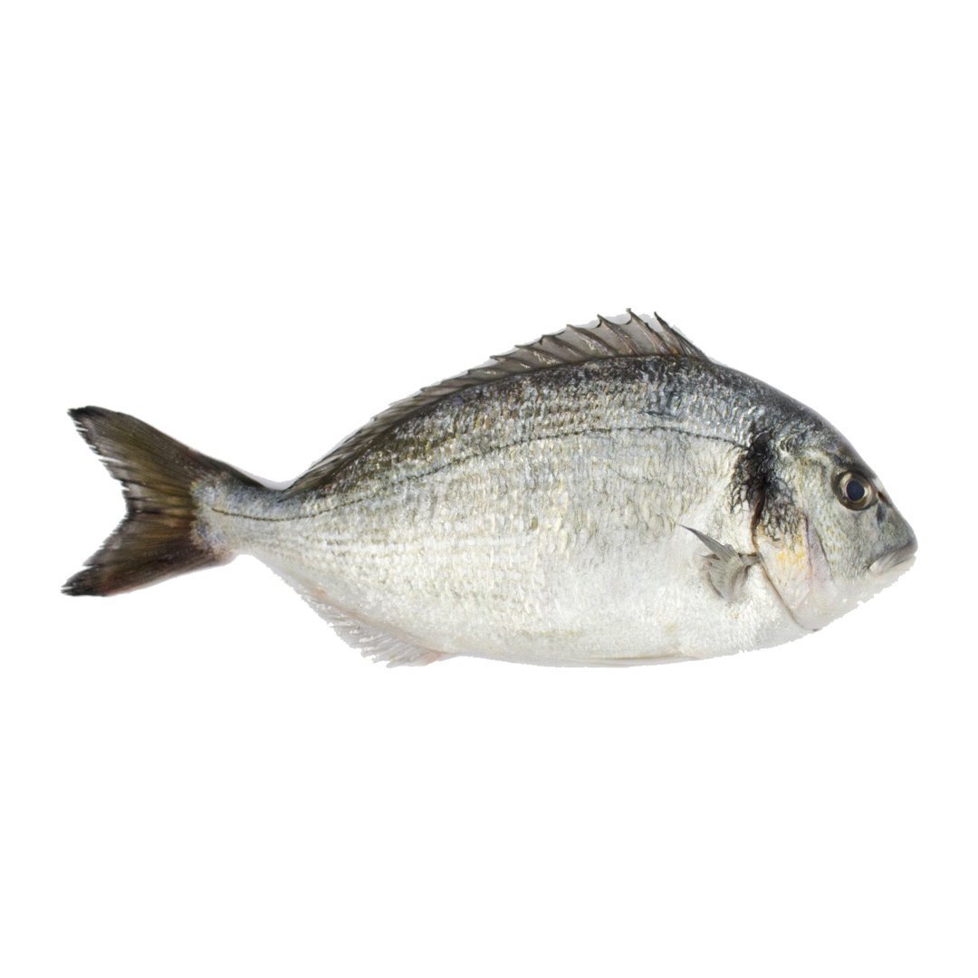 ÇİPURA (1ADET /300-400 GR)